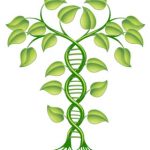 DNA-Resize-shutterstock_85197598